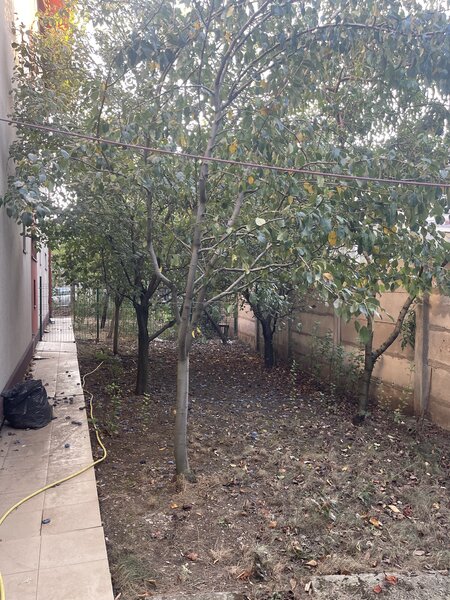Prelungirea Ghencea Margelelor Ap.Parter Curte Proprie