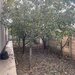 Prelungirea Ghencea Margelelor Ap.Parter Curte Proprie